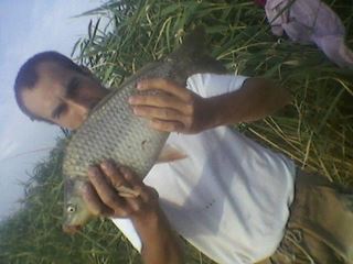 pescuit